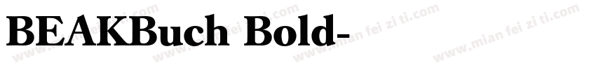 BEAKBuch Bold字体转换